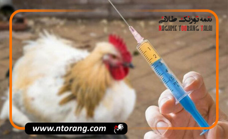 تولید آنتی ژن آنفلوانزای فوق حاد پرندگان برای نخستین بار در کشور